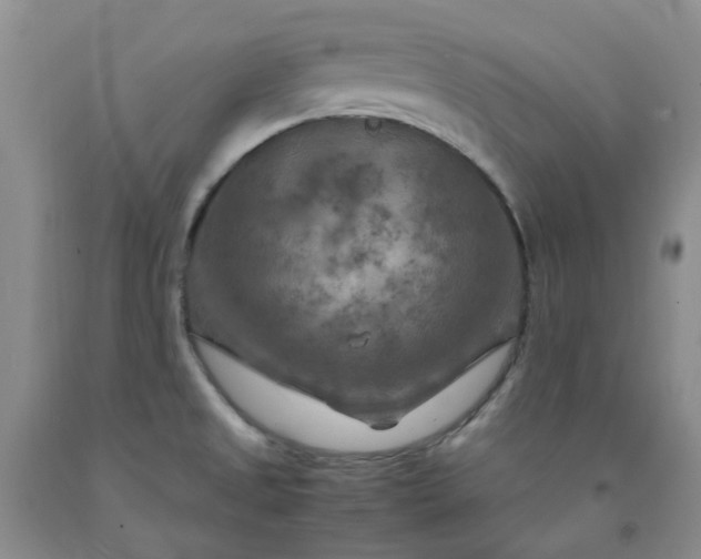 X0000091981525200709201416