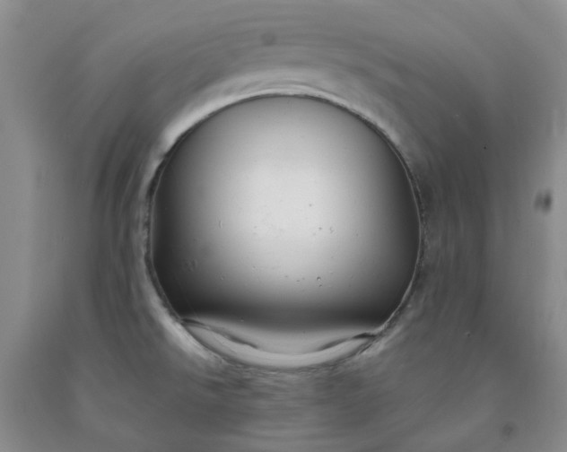 X0000091981526200709201416