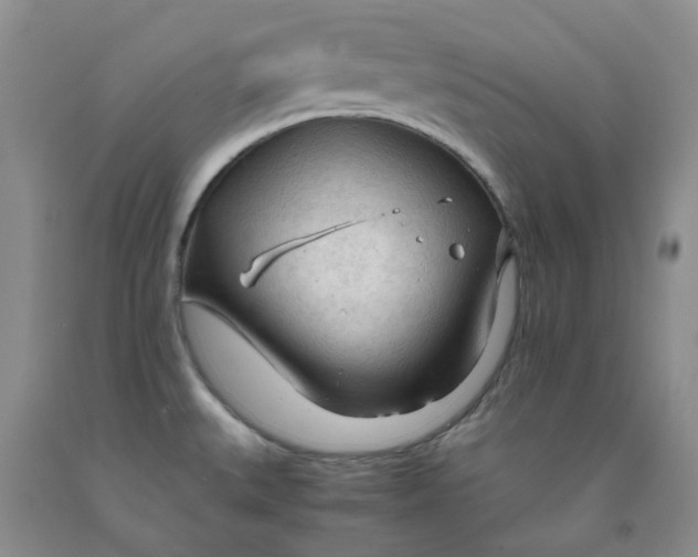 X0000091981527200709201416