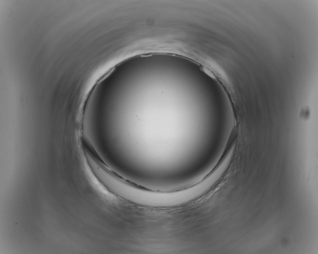 X0000091981528200709201416