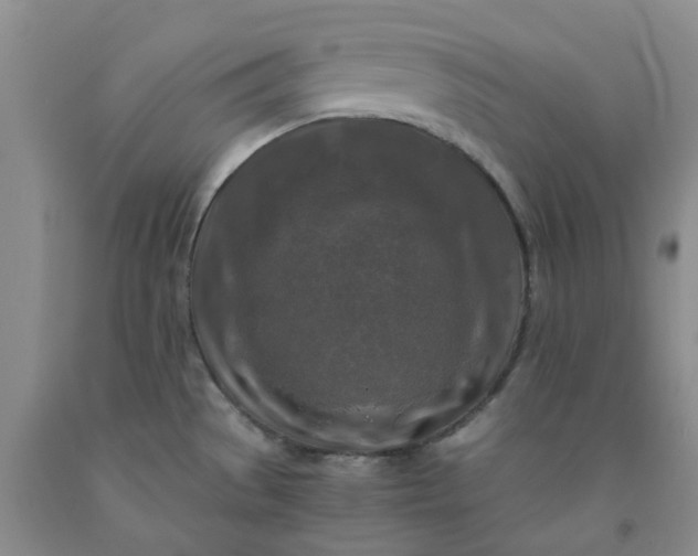 X0000091981529200709201416