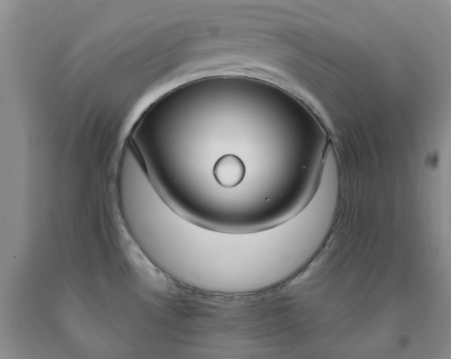 X0000091981530200709201416