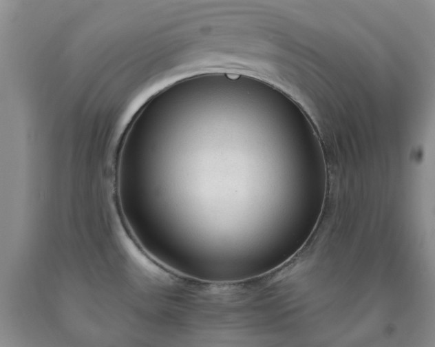 X0000091981531200709201416