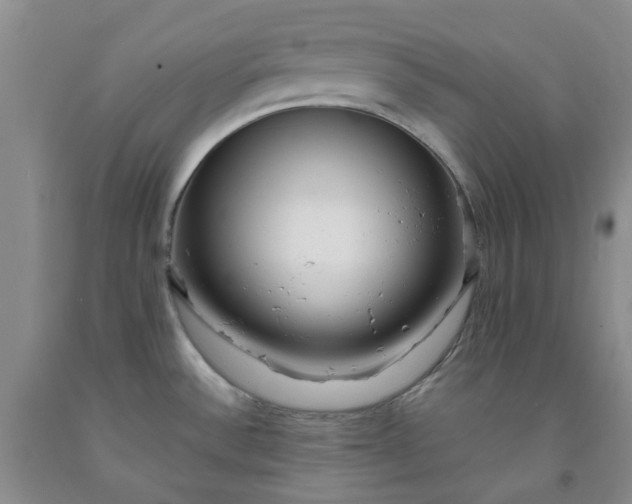 X0000091981532200709201416