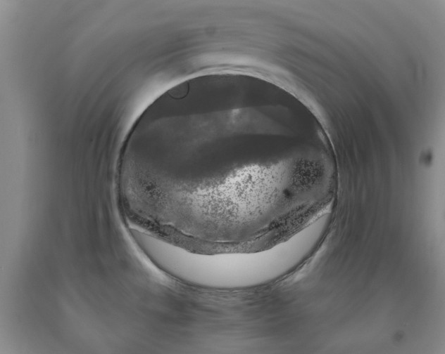 X0000091981533200709201416