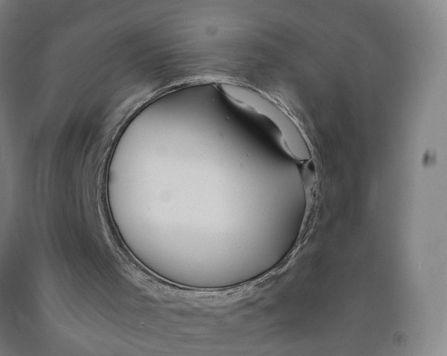 X0000091980001200709271437