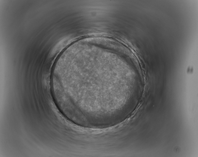 X0000091980002200709271437
