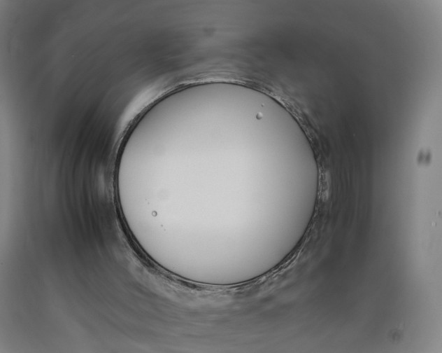 X0000091980004200709271436