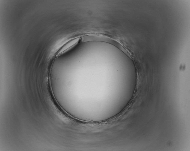 X0000091980005200709271436