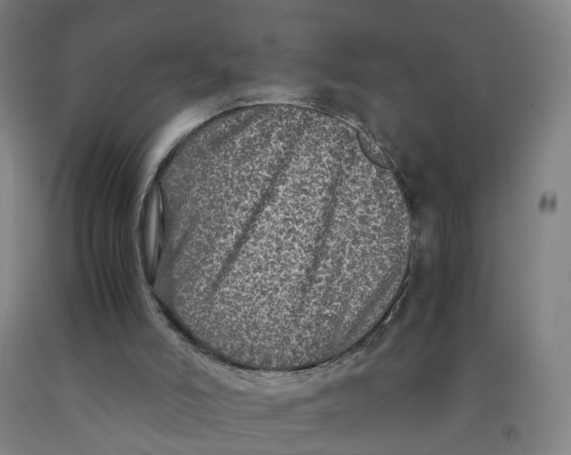 X0000091980006200709271436