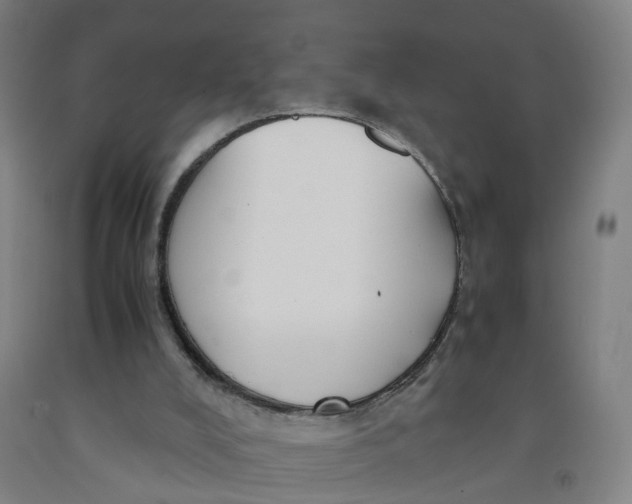 X0000091980008200709271436