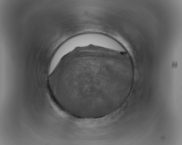 X0000091980009200709271436