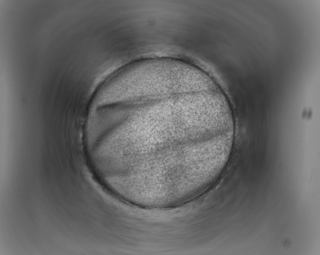 X0000091980010200709271436