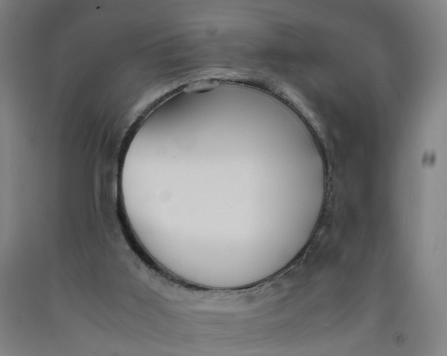 X0000091980011200709271436