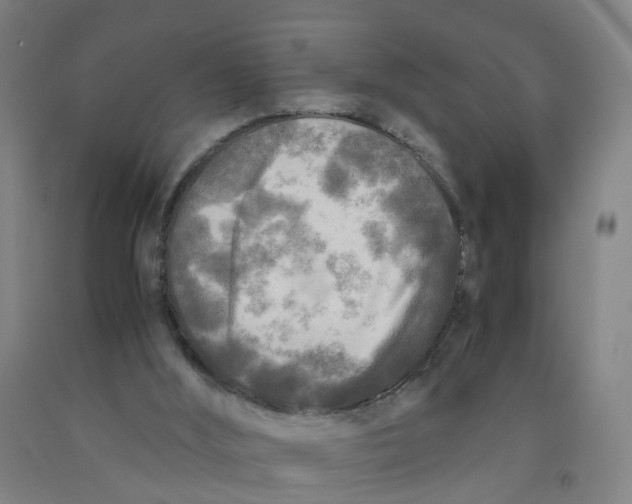 X0000091980012200709271436