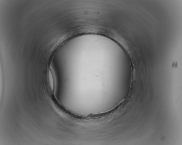 X0000091980013200709271436