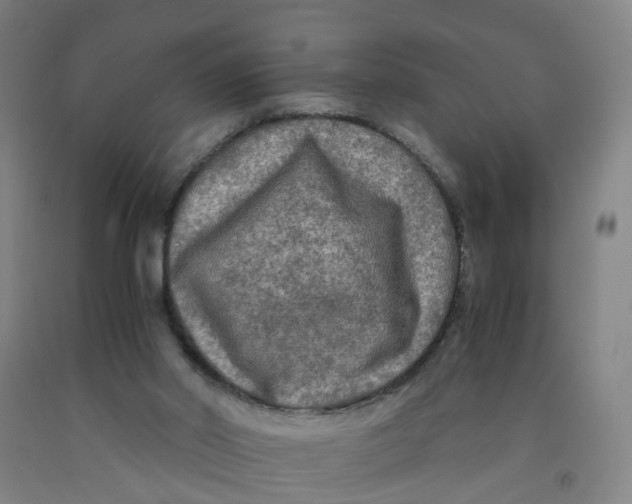 X0000091980014200709271436