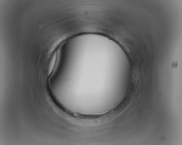 X0000091980015200709271436