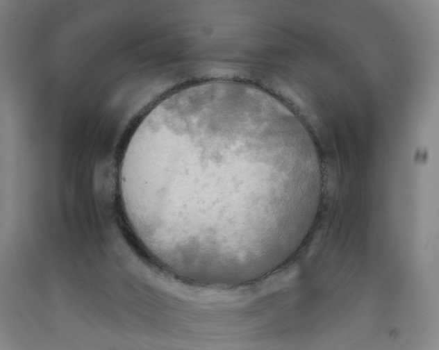 X0000091980016200709271436