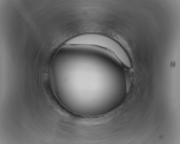 X0000091980017200709271436