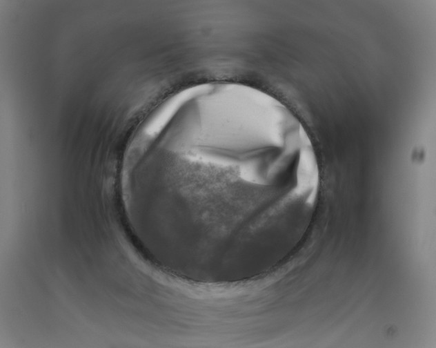 X0000091980018200709271436