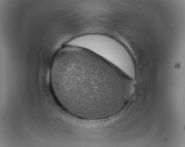 X0000091980019200709271436