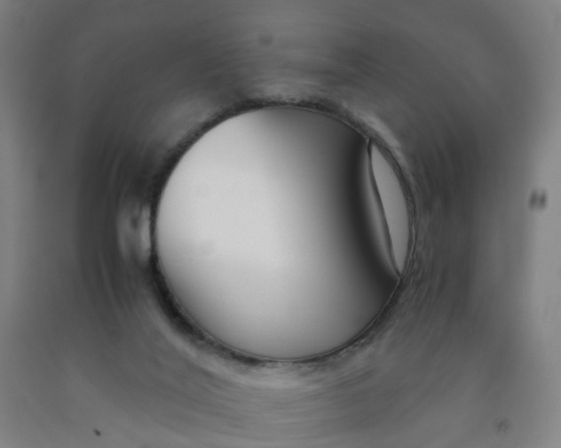 X0000091980020200709271436
