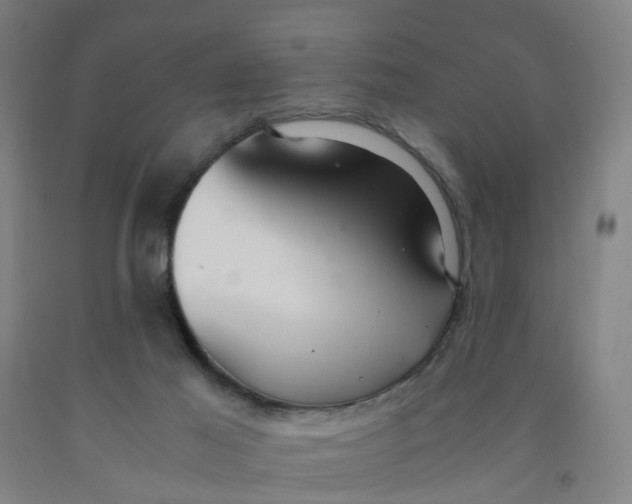X0000091980021200709271436