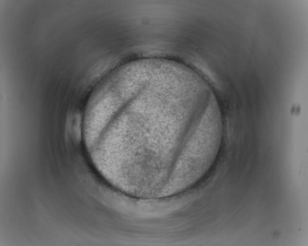 X0000091980022200709271436