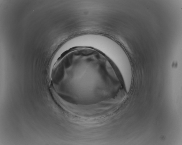 X0000091980023200709271436
