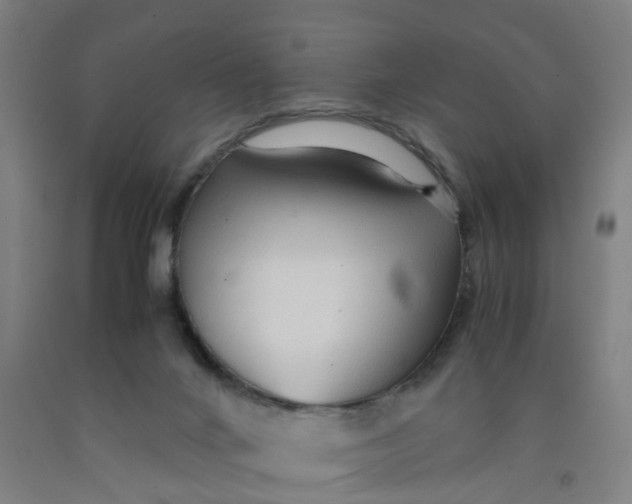 X0000091980024200709271436