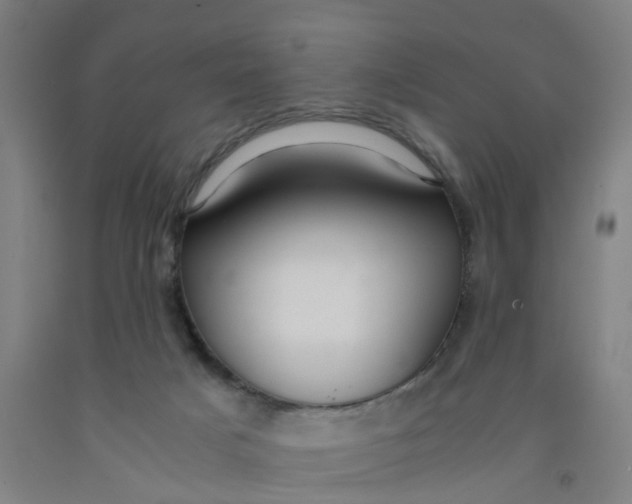 X0000091980025200709271436