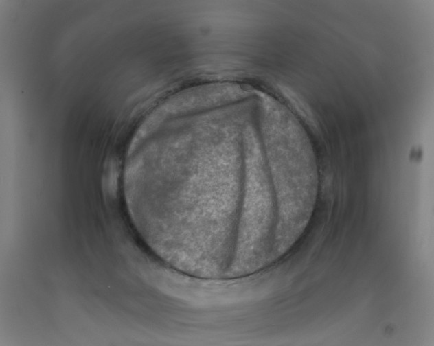 X0000091980026200709271436