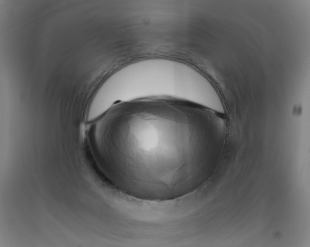 X0000091980027200709271436