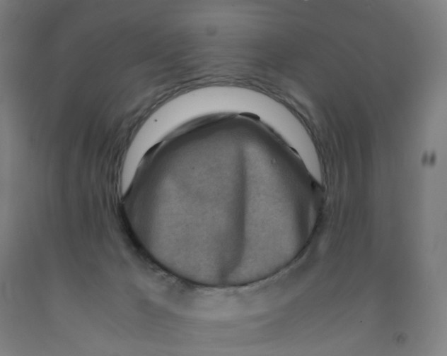 X0000091980029200709271436