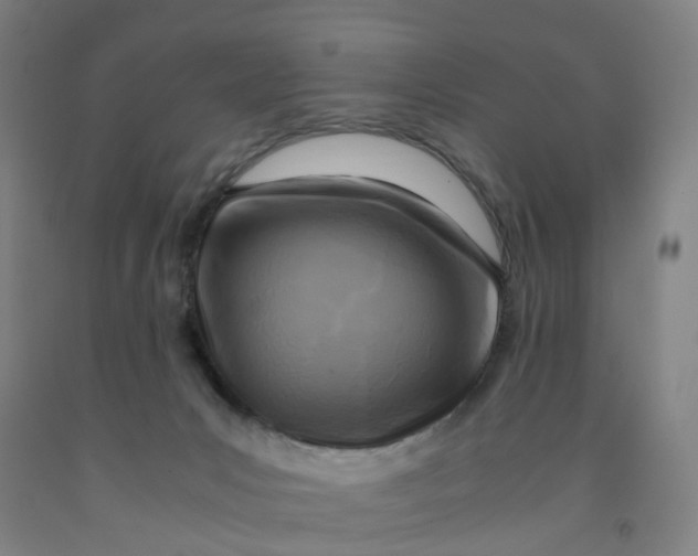 X0000091980031200709271436