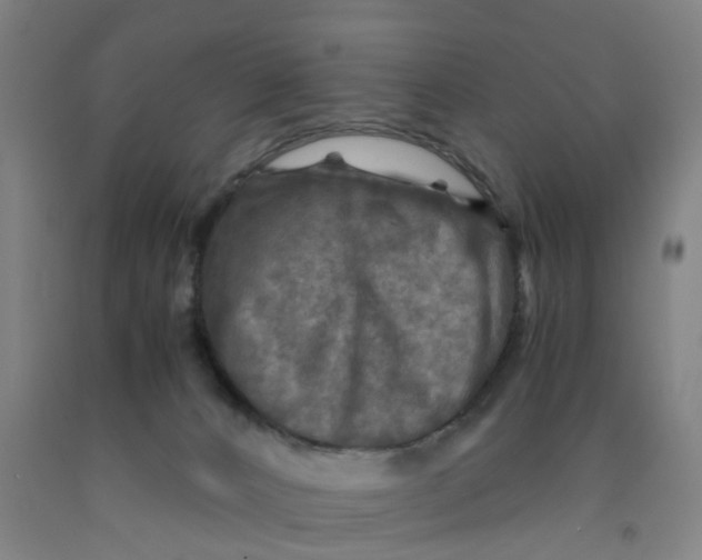 X0000091980032200709271436