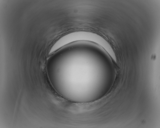 X0000091980033200709271436