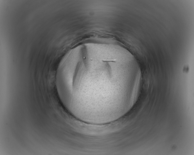 X0000091980034200709271436