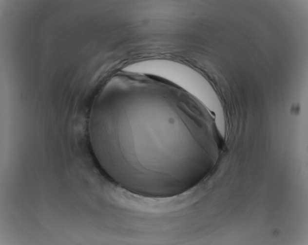 X0000091980035200709271436