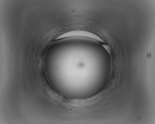 X0000091980037200709271436