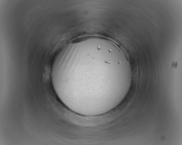 X0000091980038200709271436
