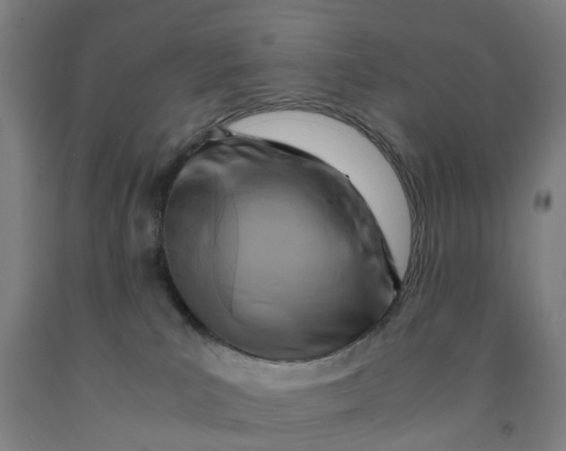 X0000091980039200709271436