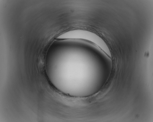 X0000091980040200709271436