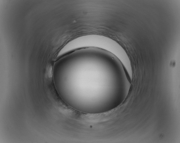 X0000091980041200709271436