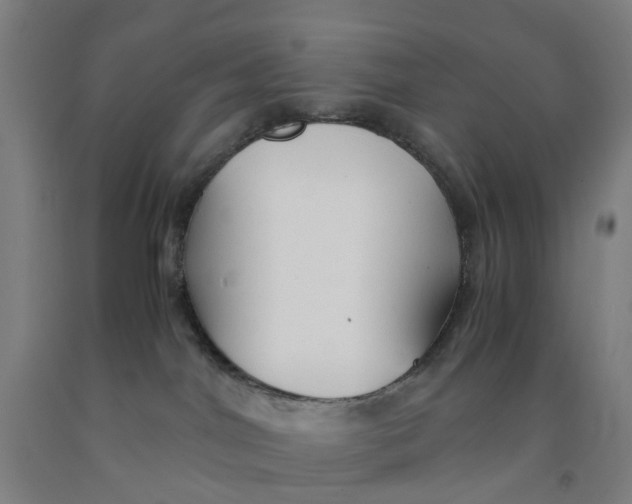 X0000091980044200709271436