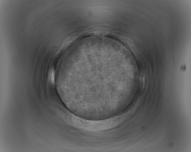 X0000091980046200709271436