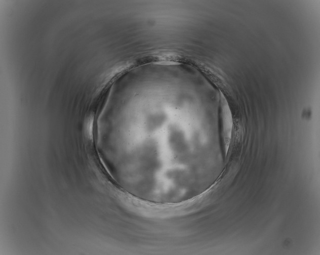 X0000091980047200709271436