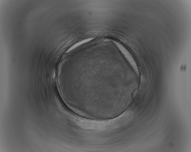 X0000091980048200709271436