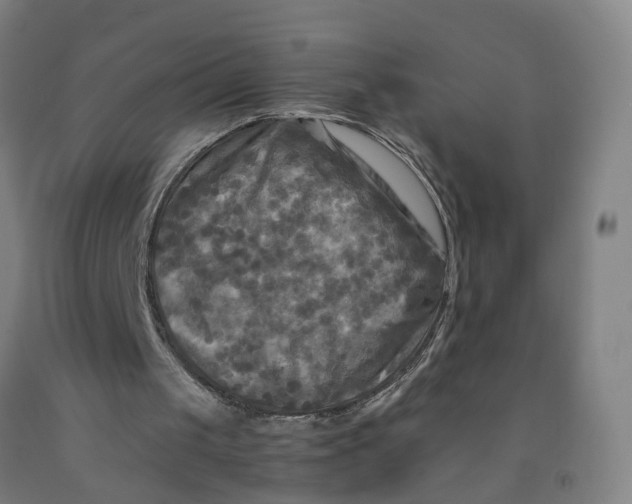 X0000091980049200709271435